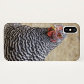 Foto van Plymouth Barred Rock Hen Case-Mate iPhone Case (Achterkant (horizontaal))