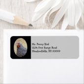 Foto van Plymouth Barred Rock Hen Etiket (Insitu)