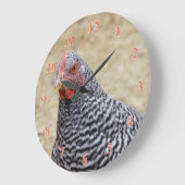 Foto van Plymouth Barred Rock Hen Grote Klok (Hoek)