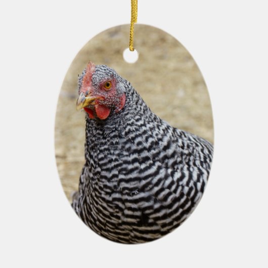 Foto van Plymouth Barred Rock Hen Keramisch Ornament (Voorkant)