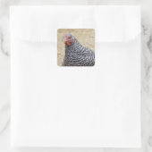 Foto van Plymouth Barred Rock Hen Vierkante Sticker (Tas)
