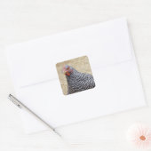 Foto van Plymouth Barred Rock Hen Vierkante Sticker (Envelop)