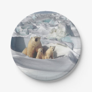 Foto van Polar Beer Cubs Snow Papieren Bordje