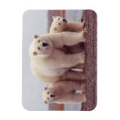 Foto van Polar Beer Family Cute Magneet (Verticaal)