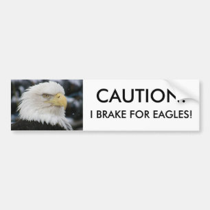 Foto van portret van een Amerikaanse zeearend Bumpersticker