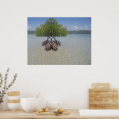 Foto van Puerto Rico Poster (Keuken)