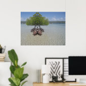 Foto van Puerto Rico Poster (Thuiskantoor)