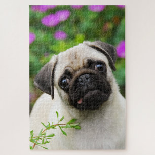 Foto van Pug Puppy Dog Legpuzzel