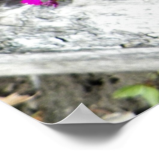 Foto van Purple Flowers in Fayette, MO Poster (Hoek)