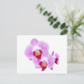 Foto van Radiant Orchid Closeup Briefkaart (Staand voorkant)