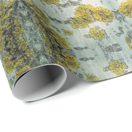 Foto van Real Aspen Tree Bark - Natural Amulet Cadeaupapier (Rol Hoek)