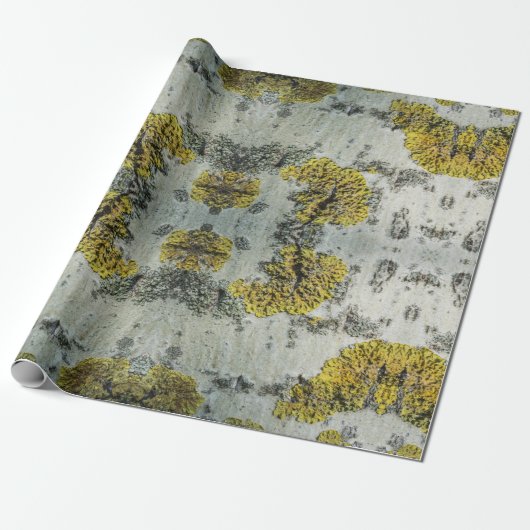 Foto van Real Aspen Tree Bark - Natural Amulet Cadeaupapier (Uitgerold)