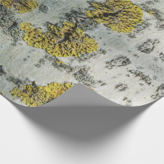 Foto van Real Aspen Tree Bark - Natural Amulet Cadeaupapier (Hoek)