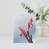 Foto van Red Cannas Canna Lilies Briefkaart (Staand voorkant)