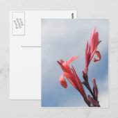 Foto van Red Cannas Canna Lilies Briefkaart (Voorkant / Achterkant)