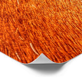 Foto van Red Dun Mare Horse Equine Poster (Hoek)