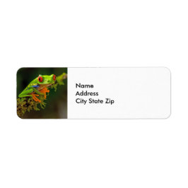 Foto van Red Eyed Tree Kikker Etiket