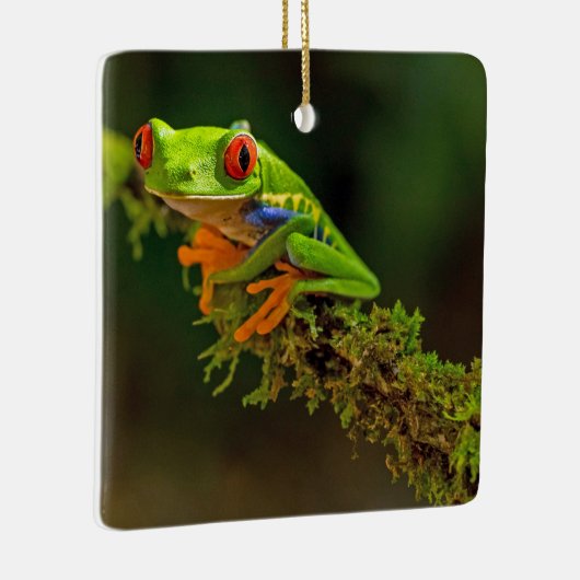 Foto van Red Eyed Tree Kikker Keramisch Ornament (Rechts)