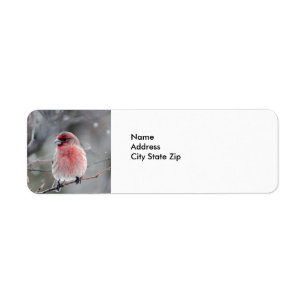  foto van Red Finch Etiket