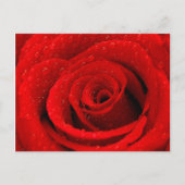 Foto van Red Rose Background Briefkaart (Voorkant)
