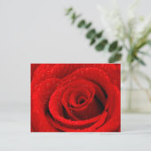 Foto van Red Rose Background Briefkaart (Staand voorkant)