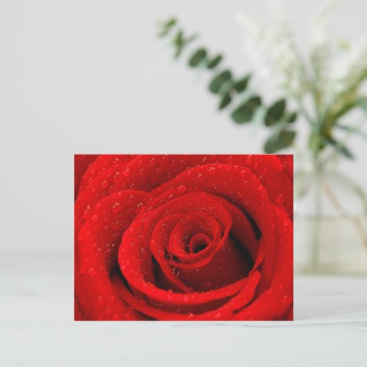 Foto van Red Rose Background Briefkaart (Staand voorkant)
