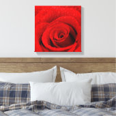 Foto van Red Rose Background Canvas Afdruk (Insitu (Slaapkamer))
