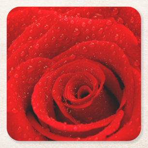 Foto van Red Rose Background Kartonnen Onderzetters