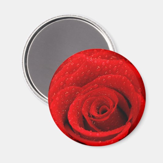 Foto van Red Rose Background Magneet (Voorkant / Achterkant)