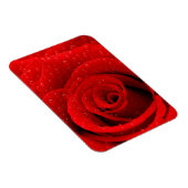 Foto van Red Rose Background Magneet (Rechterzijde)