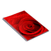 Foto van Red Rose Background Notitieboek (Rechterzijde)