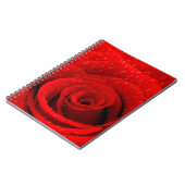 Foto van Red Rose Background Notitieboek (Linkerzijde)