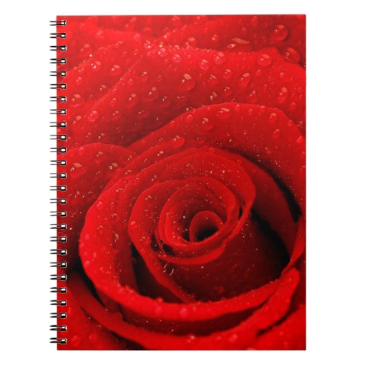 Foto van Red Rose Background Notitieboek (Voorkant)