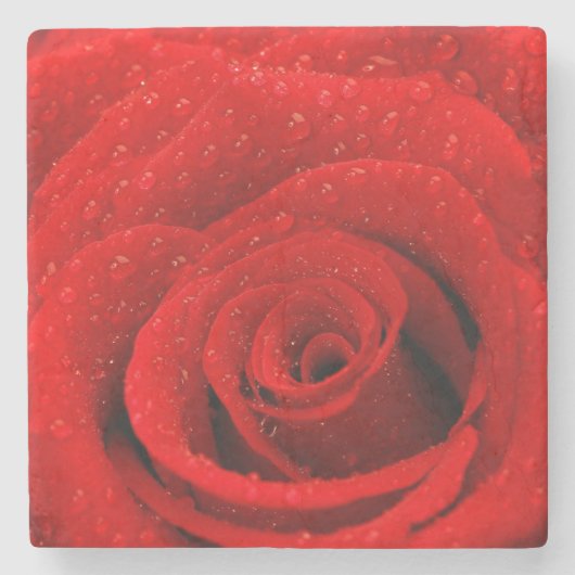 Foto van Red Rose Background Stenen Onderzetter (Voorkant)