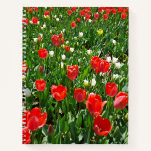 Foto van Red Tulip Flower Field Notitieboek