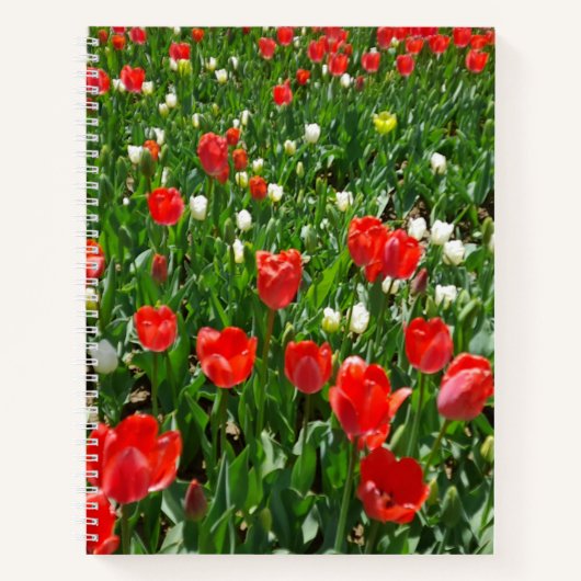 Foto van Red Tulip Flower Field Notitieboek (Voorkant)