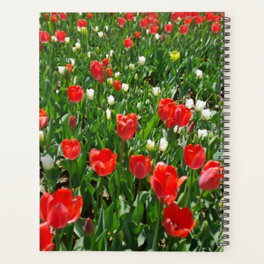 Foto van Red Tulip Flower Field Planner (Achterkant)