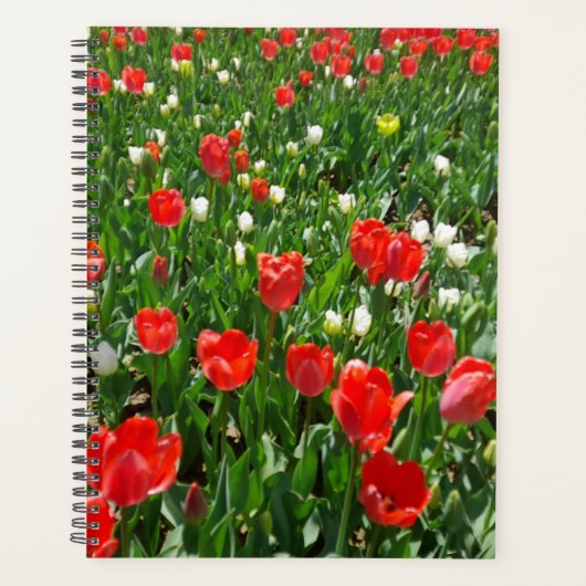 Foto van Red Tulip Flower Field Planner (Voorkant)