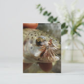 Foto van regenboogforel briefkaart (Staand voorkant)