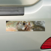 Foto van regenboogforel bumpersticker (Op auto)