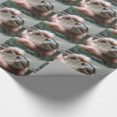 Foto van Regenboogforel Cadeaupapier (Hoek)