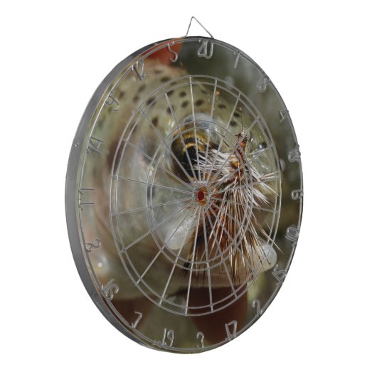 Foto van regenboogforel dartbord (Voorkant Links)