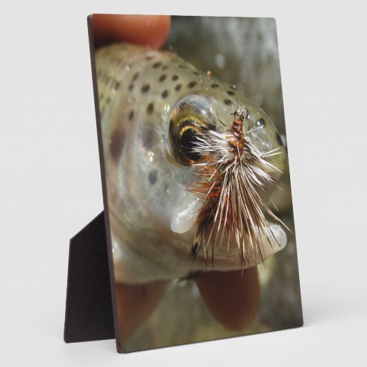 Foto van regenboogforel fotoplaat (Zijkant)