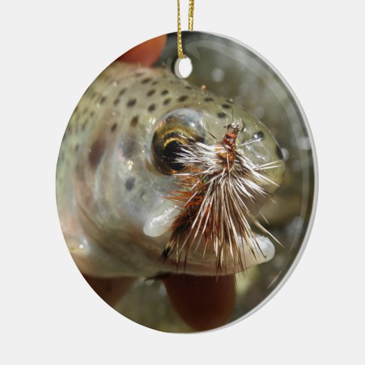 Foto van regenboogforel keramisch ornament (Links)