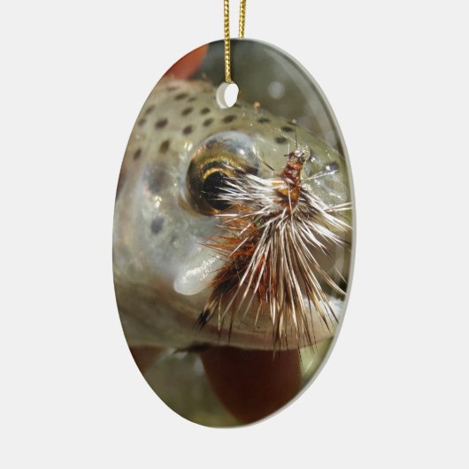 Foto van regenboogforel keramisch ornament (Links)