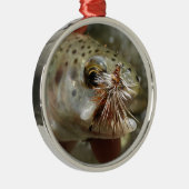 Foto van regenboogforel metalen ornament (Rechts)