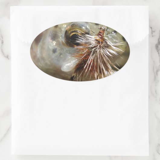 Foto van regenboogforel ovale sticker (Tas)