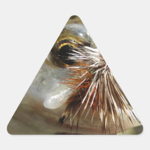 Foto van regenboogforel sticker