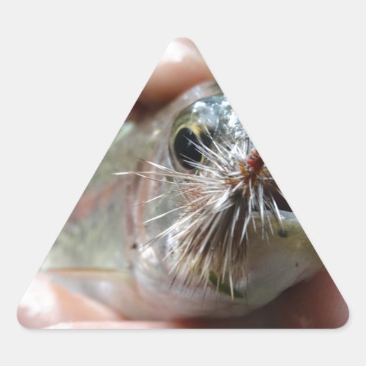 Foto van Regenboogforel Sticker (Voorkant)