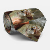 Foto van regenboogforel stropdas (Opgerold)